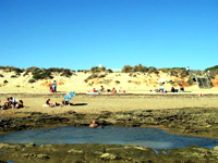 Playa Punta de piedras